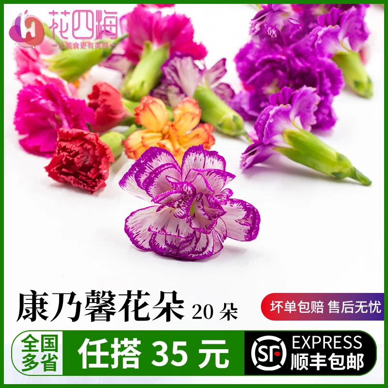 新鲜 康乃馨 混合花朵  酒店蛋糕酒店饭店摆盘装饰鲜花10g
