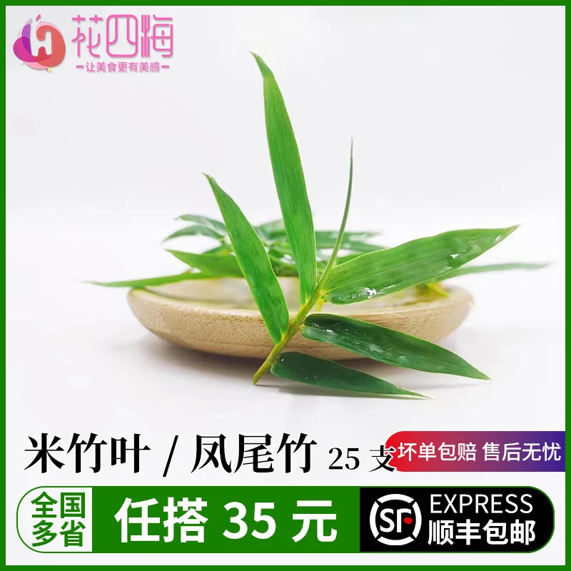 凤尾竹新鲜 米竹叶 小竹叶25片西餐日料摆盘装饰点缀 1g