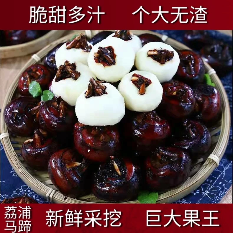 广西荔浦特产马蹄荸荠地栗当季新鲜即食清脆无渣大果3/5/9斤包邮