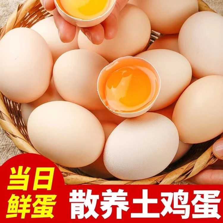 土鸡蛋  60 枚正宗农家散养现收