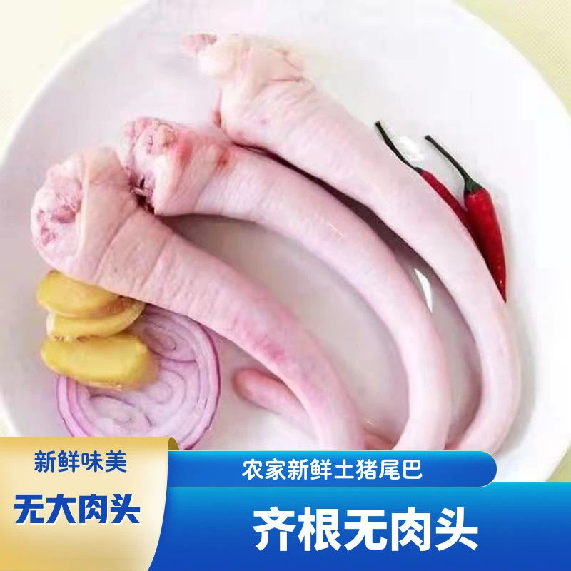 新鲜农家散养土猪长中短尾巴冰鲜发货干净去毛齐根无大头