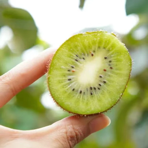 {李小妹精选、坏果包赔}陕西眉县翠香猕猴桃