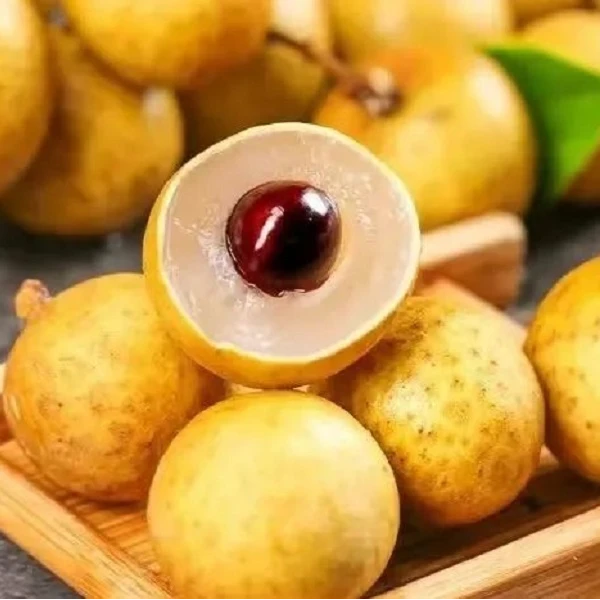 {坏果包赔、顺丰包邮}泰国金标龙眼当季新鲜