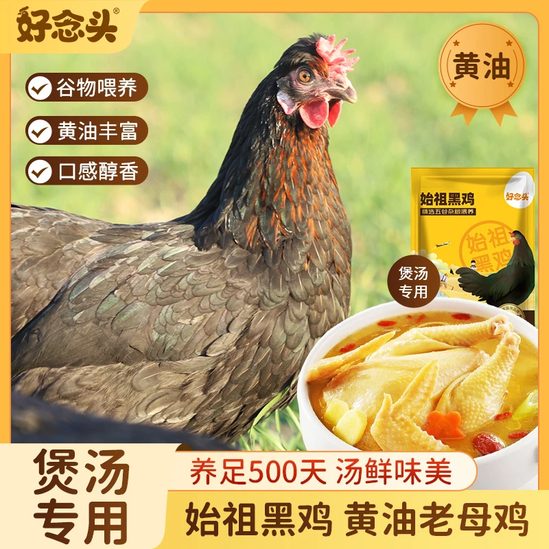 【2只老母鸡】好念头始祖黑鸡约4斤 精选新鲜活鸡 原味煲汤老母鸡