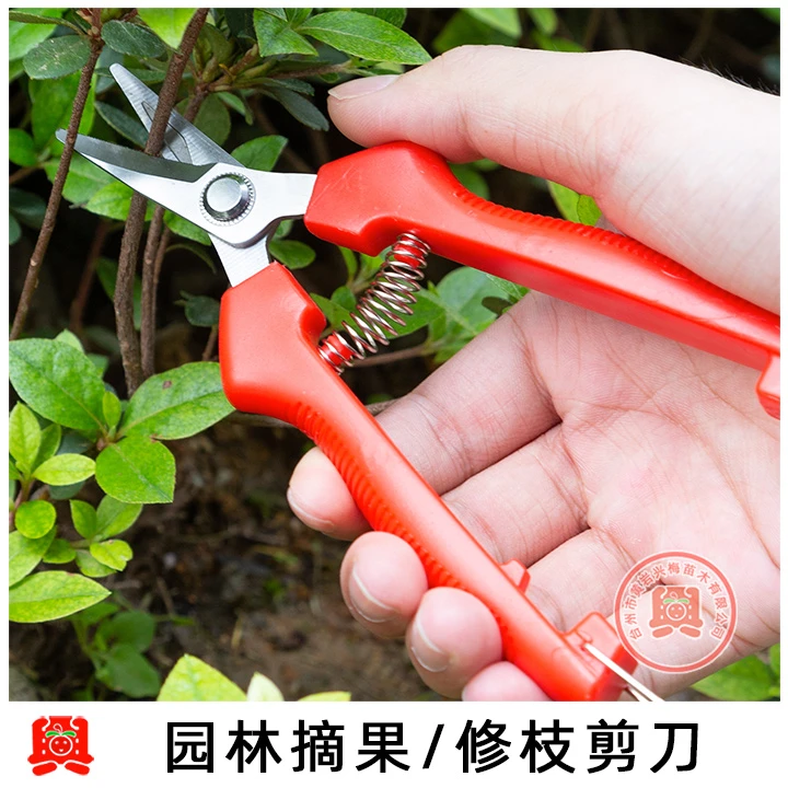 园艺果树修枝剪园林枝剪剪枝修剪修枝花剪剪树枝专用剪刀工具树剪