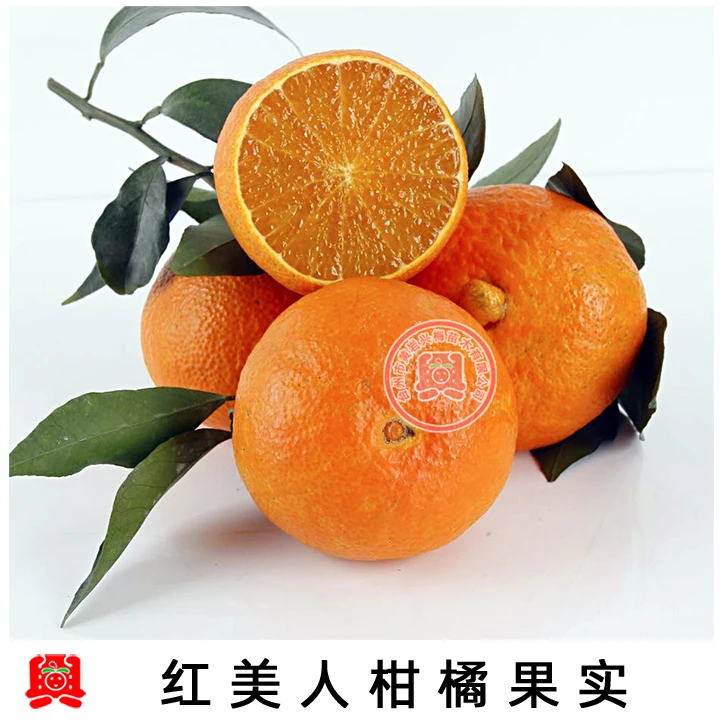 2移植树苗果树苗一物一拍修剪果树盆栽庭院种植带土苗木发货下单
