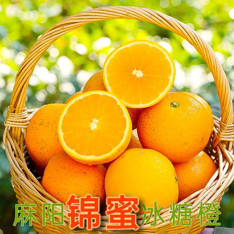 怀化正宗产地直发岩垅黄金贡柚象山青产地直销新鲜现摘手剥橙