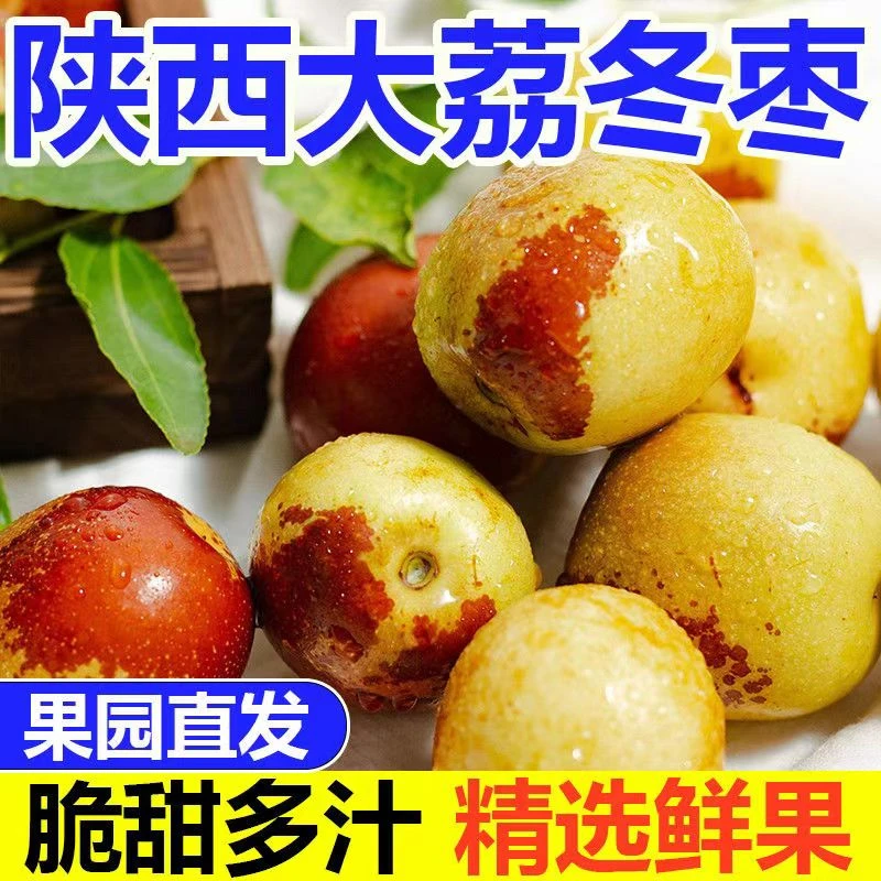 【产地直发】陕西大荔冬枣脆甜多汁新鲜果蔬产地直发带箱4.6-5.3斤