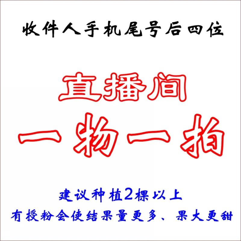 【一物一拍】蓝莓树苗盆栽阳台地栽庭院果树苗南北方种植当年结果