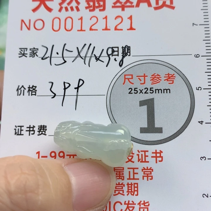 翡翠颈饰未镶嵌貔貅