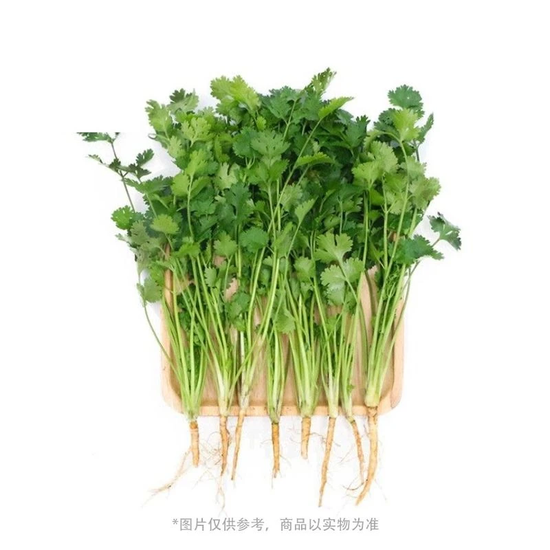 精品香菜 约70-80g/份