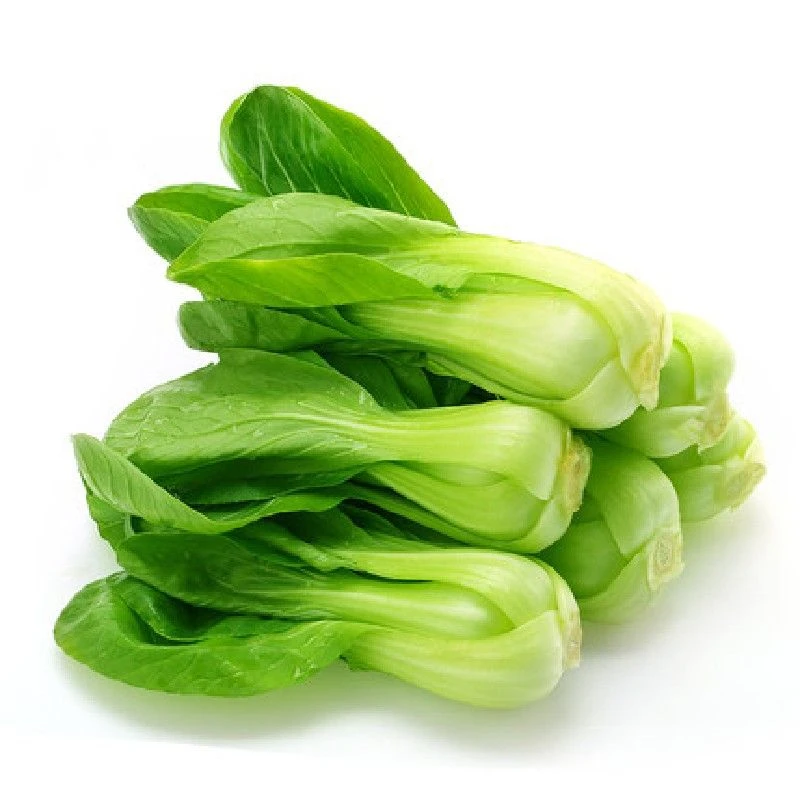 鲜上海青 新鲜蔬菜 约500-530g/份