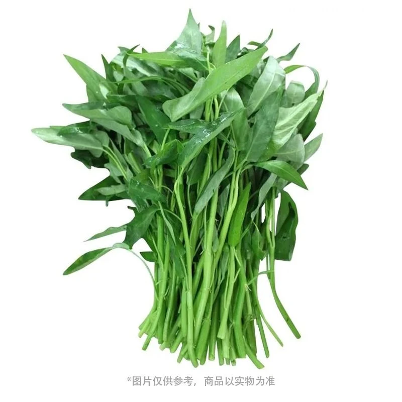 空心菜 约500-530g/份