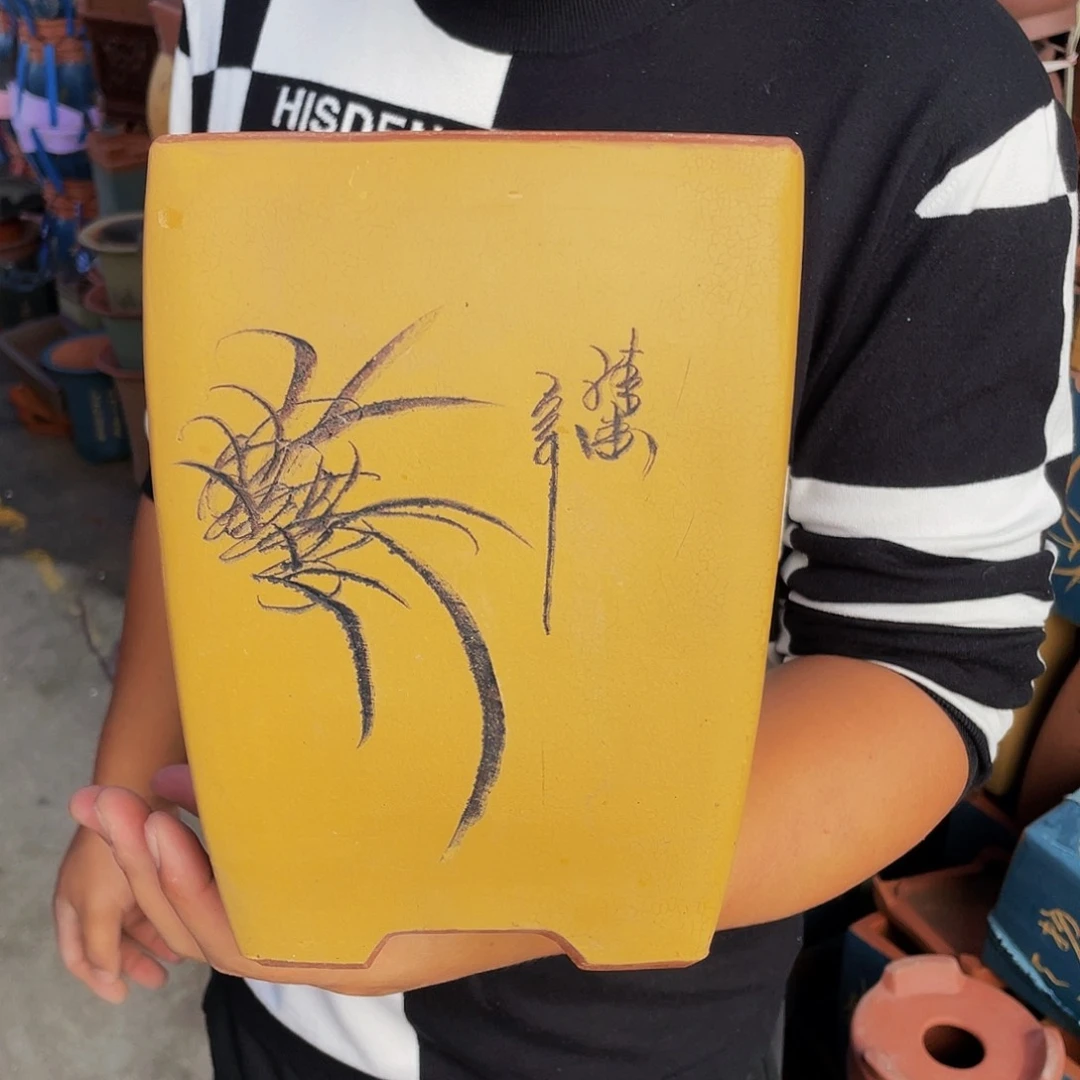 紫砂20CM（含）-50CM（不含）干净利落