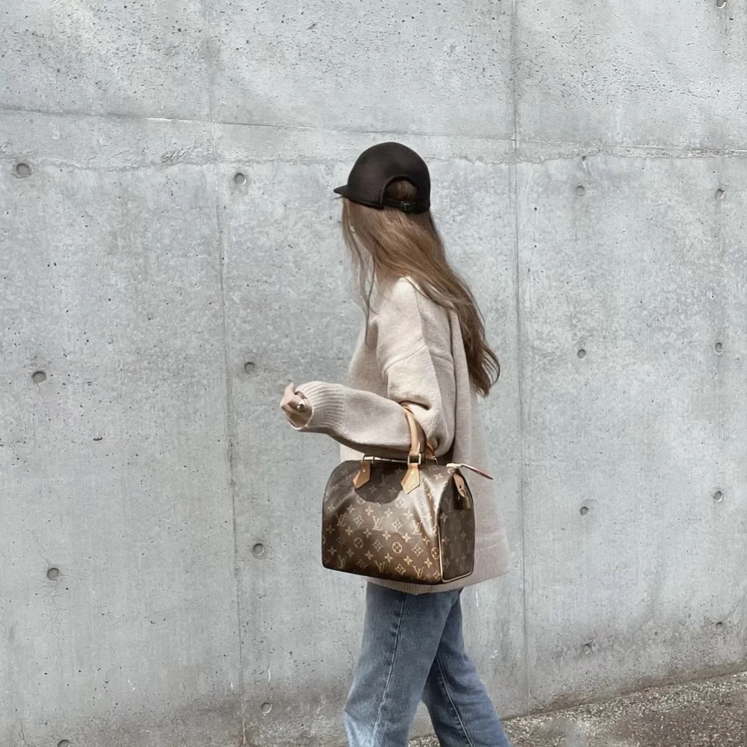 95新 LouisVuitton/路易威登 LV老花25手提972545