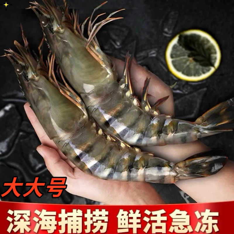 .大大号26-30规格A级黑虎虾带冰锁鲜发货1斤10-13只 32只左右/3斤