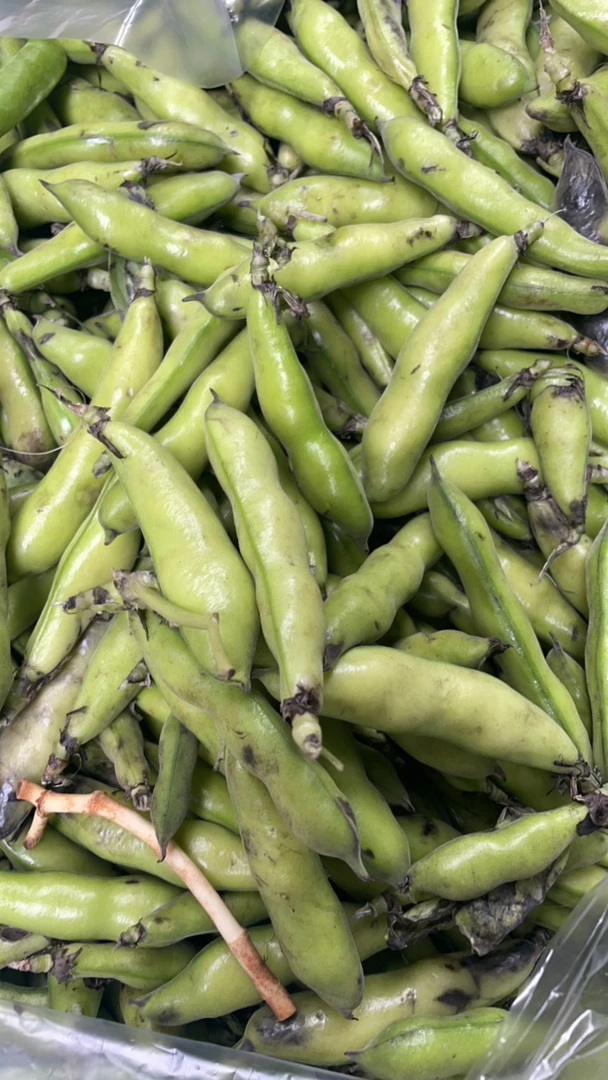 赶集新鲜采摘 嫩蚕豆带壳 胡豆