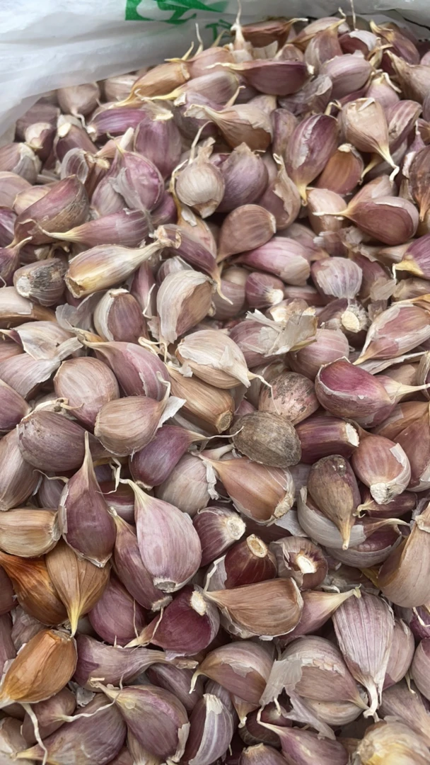 乡村赶集新鲜采摘生鲜 紫皮蒜瓣