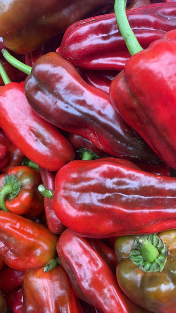 红辣椒  甜椒 酱色 农家自己种植 现摘现发