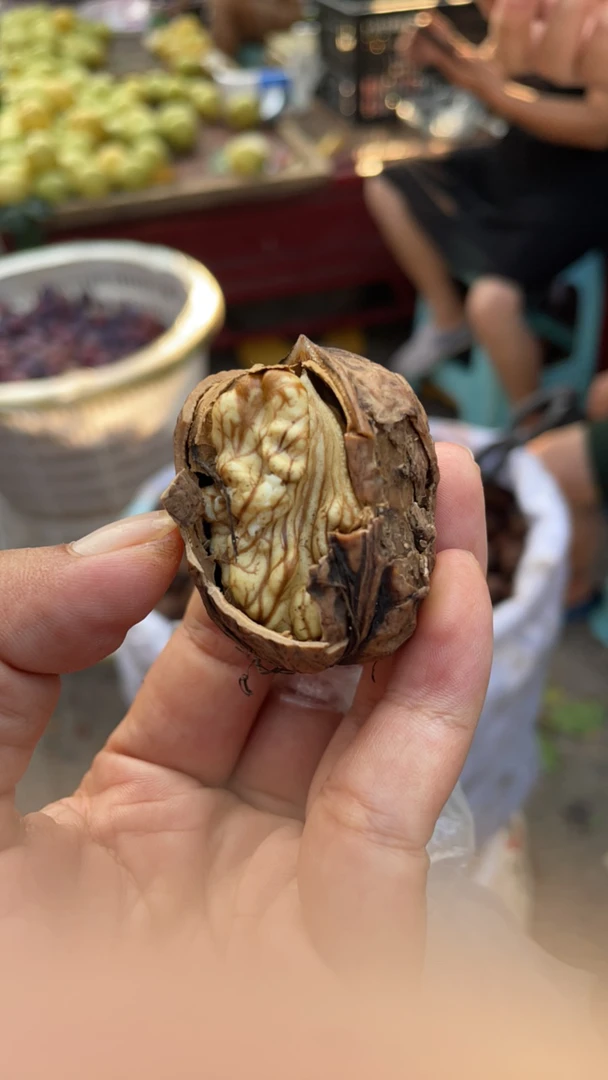 乡村农家土货 新鲜采摘生鲜 鲜核桃