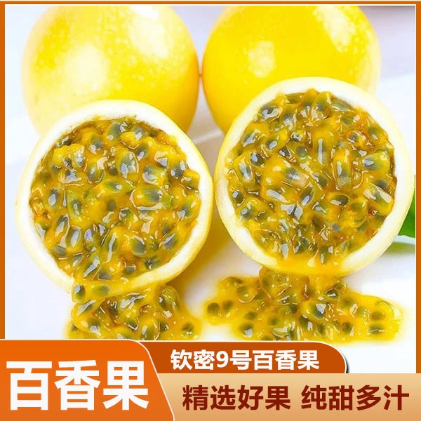 广西百香果黄皮钦蜜9号特大果新鲜水果原浆当季整箱包邮5黄晶果