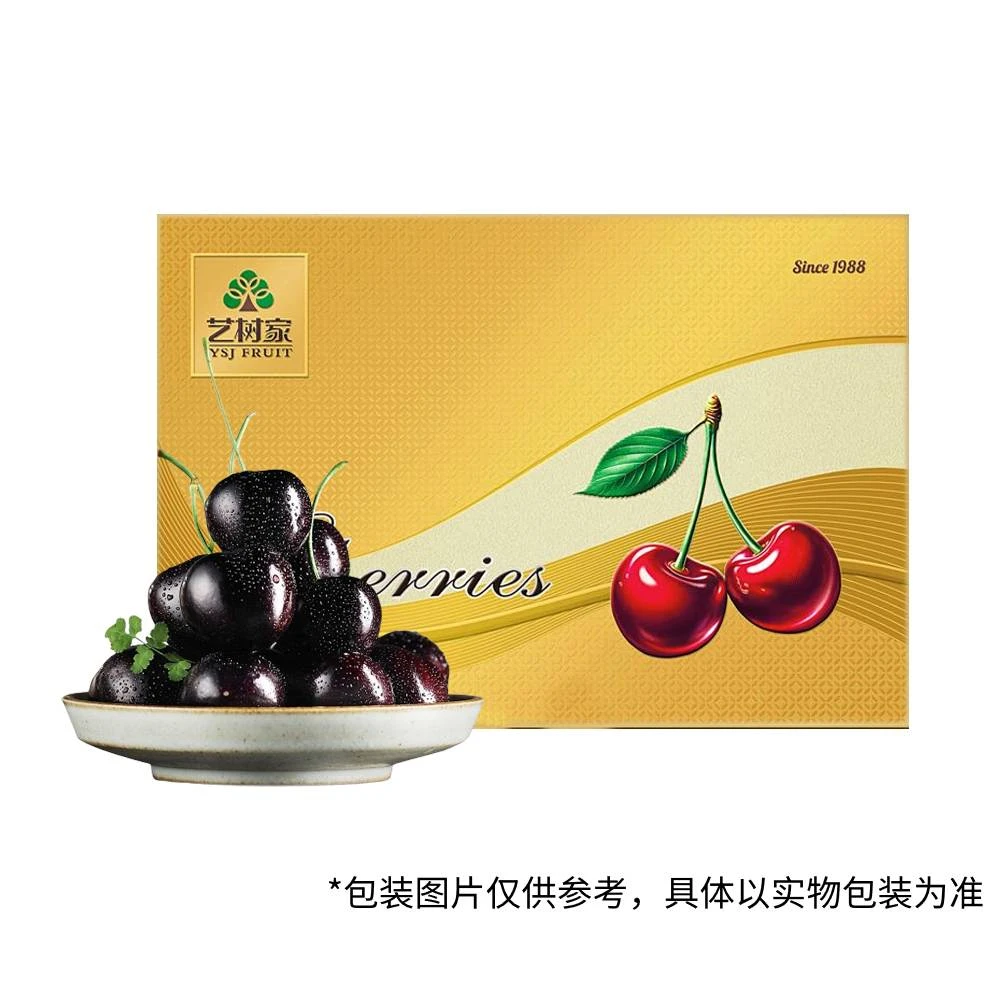 【预售】艺树家 俄罗斯8号樱桃 3J级 约1kg 礼盒装