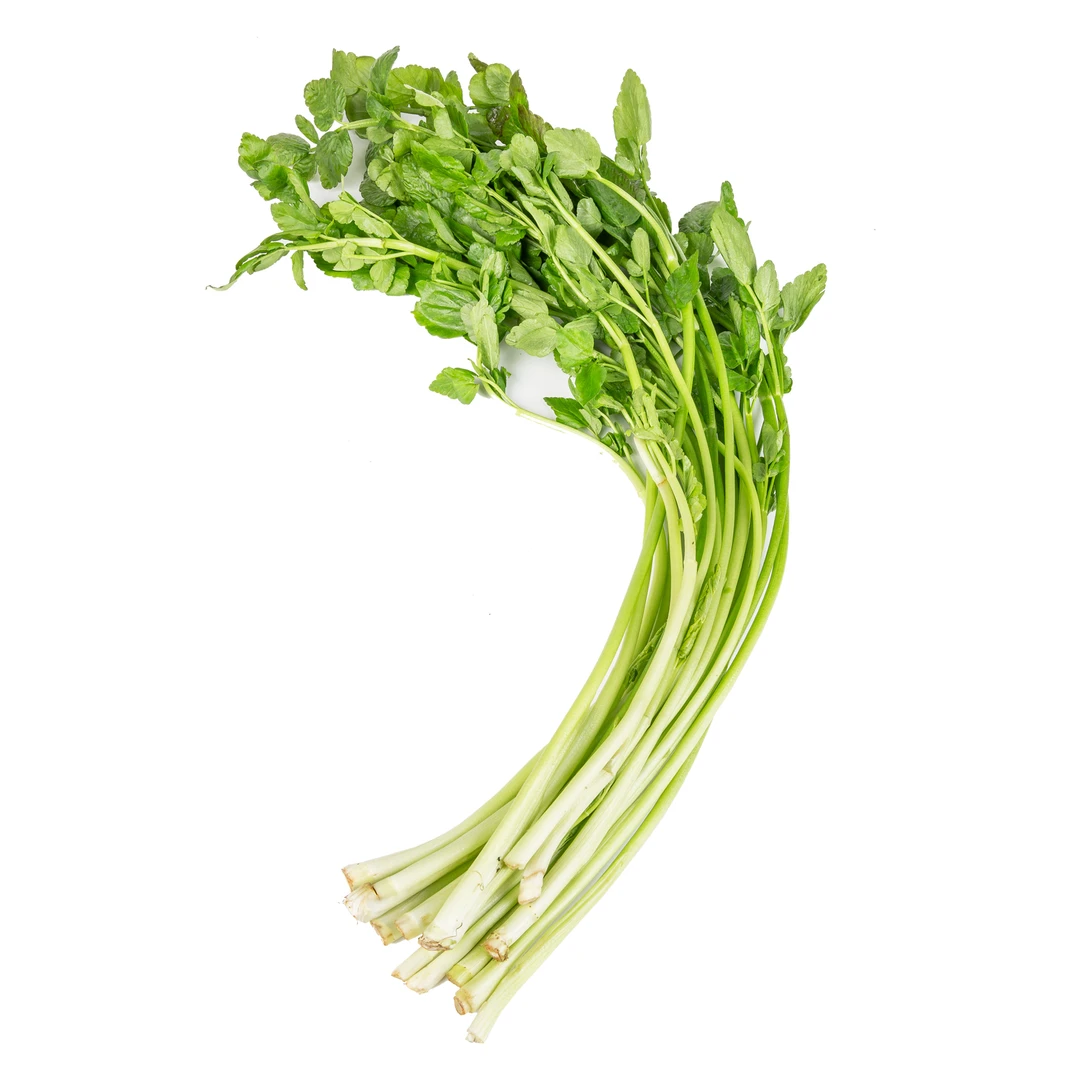 水芹菜 约350g/份