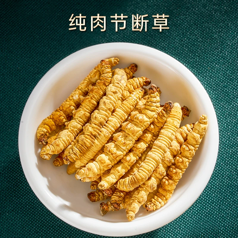 【正宗纯肉节冬虫夏草】2024头茬高海拔干虫草送人送礼官方正品礼盒