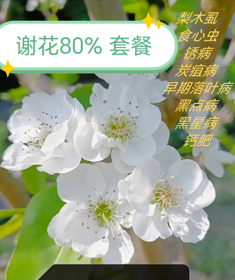 梨谢花套餐水溶肥