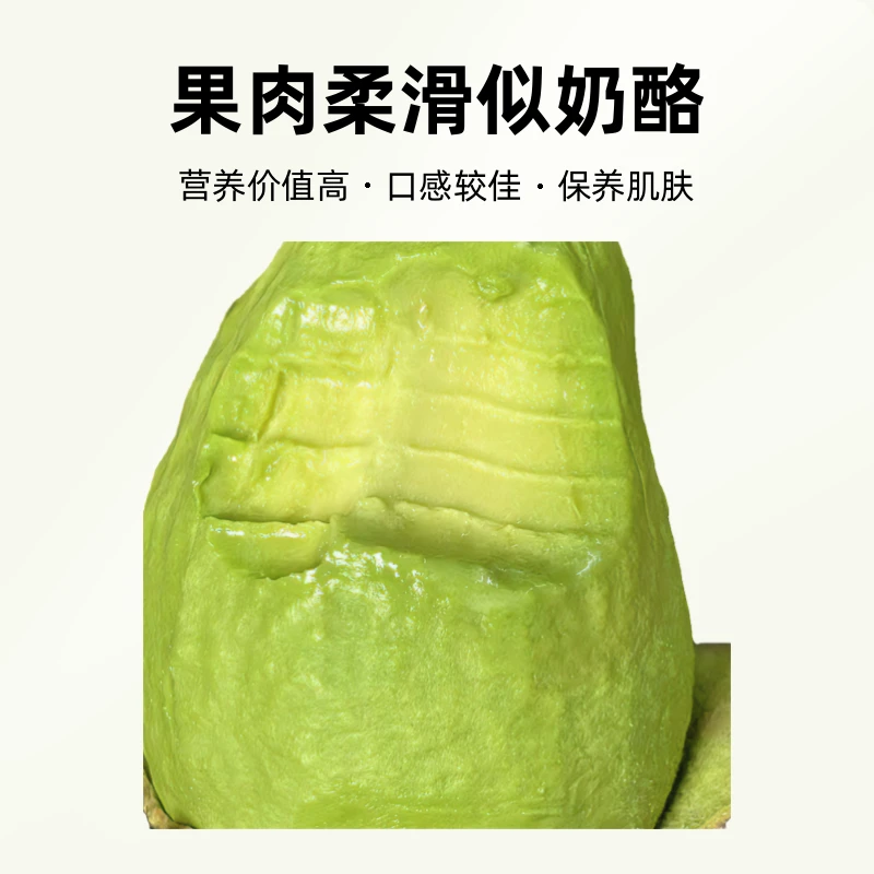 秘鲁进口牛油果新鲜绿色香甜低糖果香健康牛油果直播卖货第一名