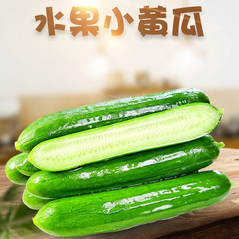 山东水果黄瓜2.5斤±