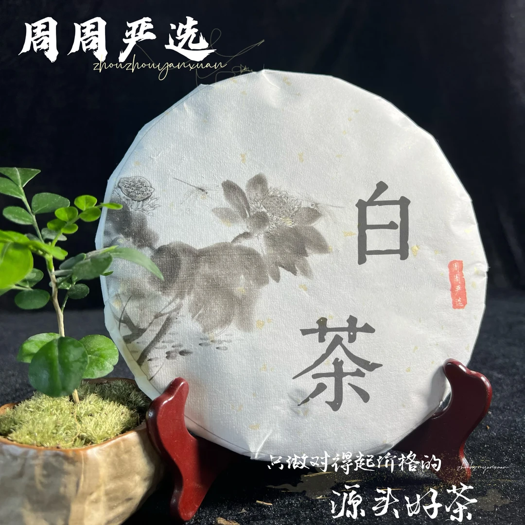 大雪山普洱白茶饼200g