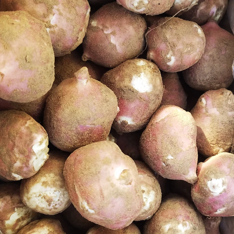 洋姜新鲜现挖田野菊芋红皮当季脆甜水果姜不辣生吃姜鬼子姜2斤5斤