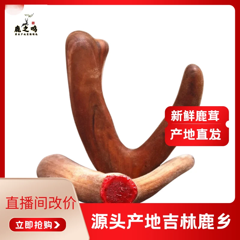 东北产地吉林滋补泡酒煲汤炖菜新鲜鹿茸直播改价