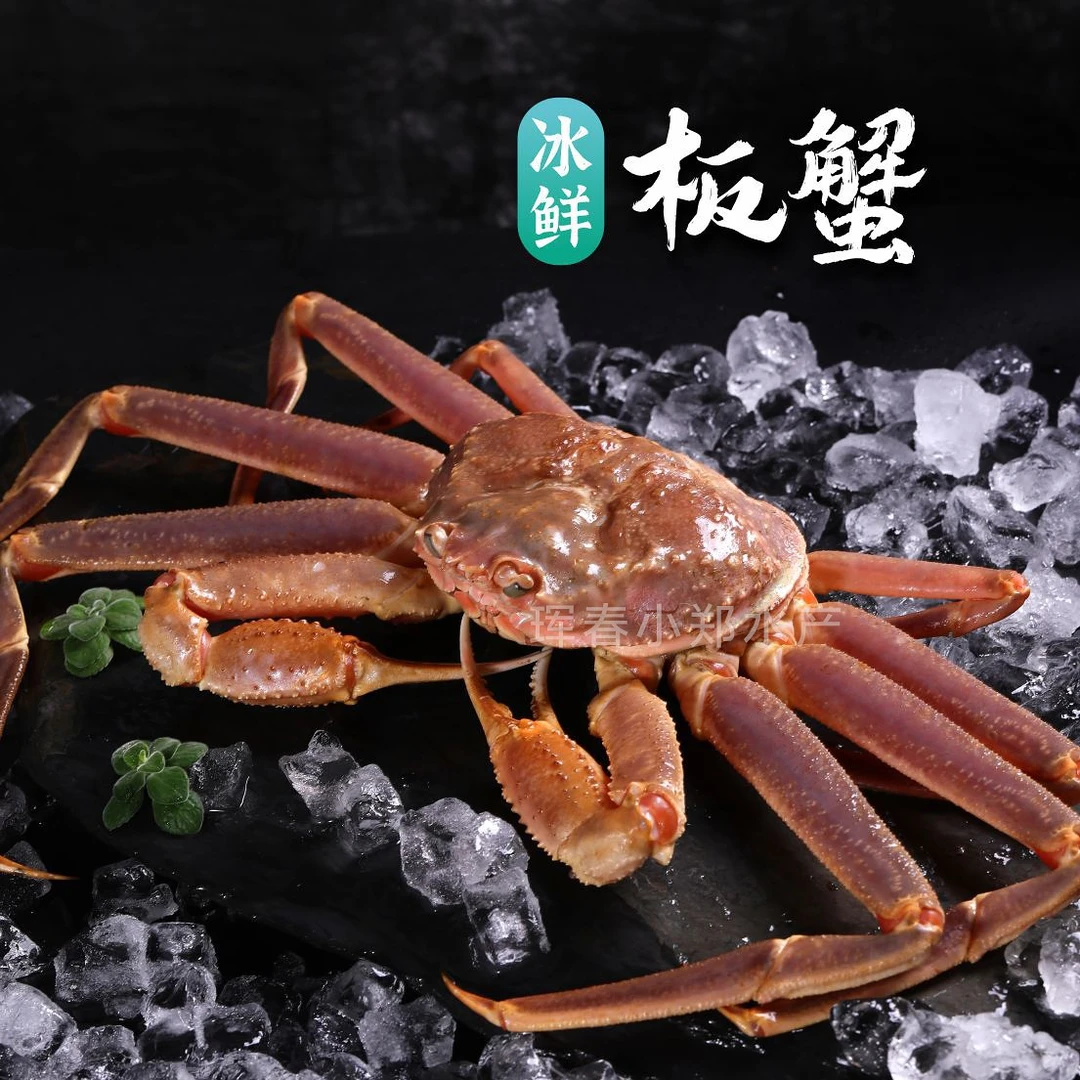 冰鲜板蟹/残板 松叶蟹 保鲜不保活 顺丰珲春发货 东三省包邮
