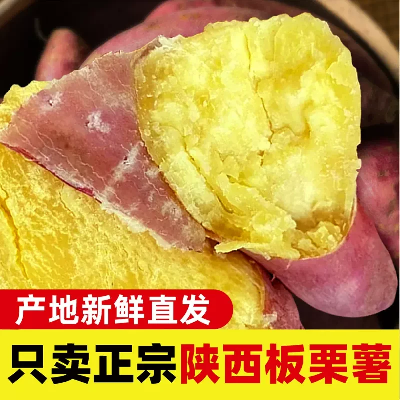 陕西板栗红薯干面无丝粉糯香甜正宗沙地板栗红薯皮薄原产地种植