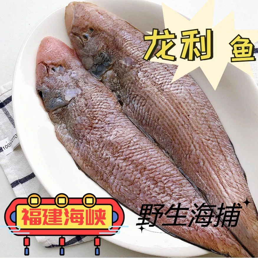 【码头直发】龙利鱼 塌西鱼 福建祥芝渔港发货