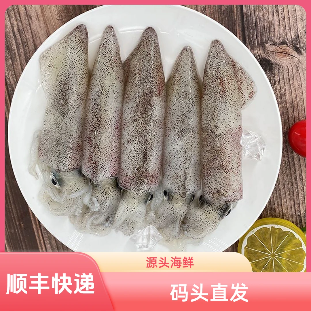 本港鱿鱼小管（网拖鱿鱼会有破皮，介意勿拍）