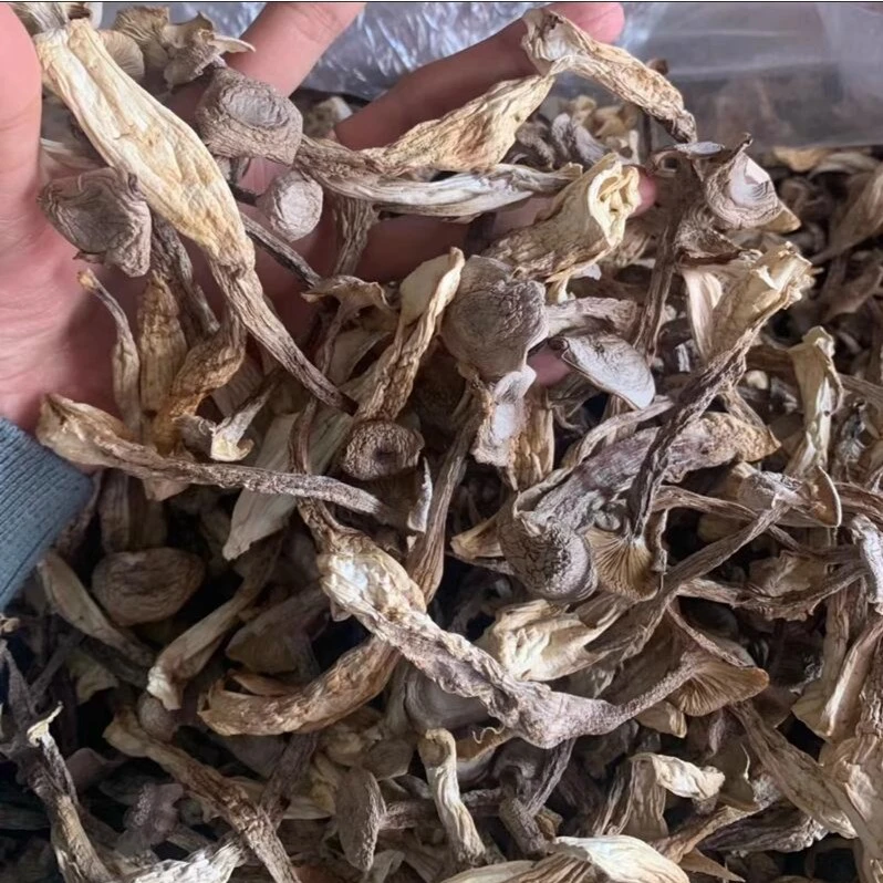 鹿茸菇袋装（1斤）