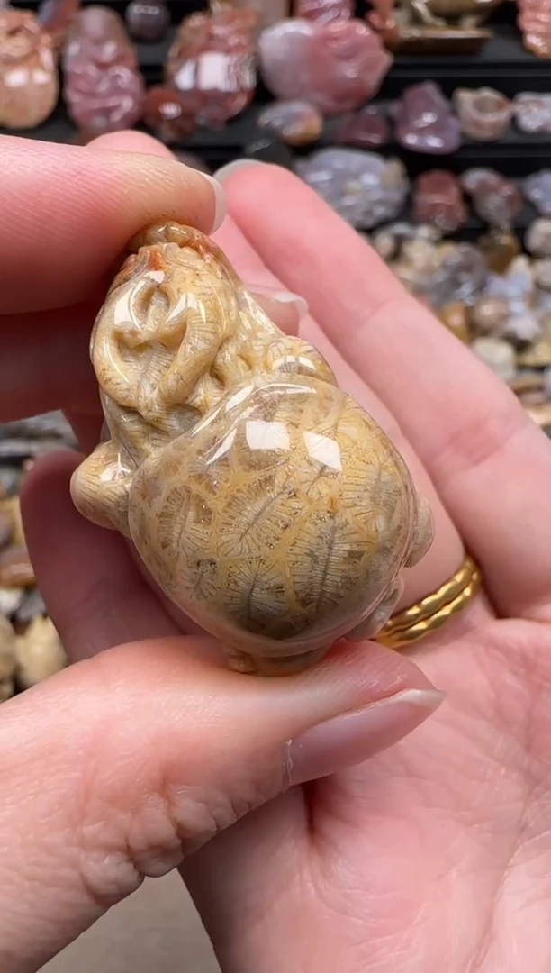 【闪购商品】硅化珊瑚（珊瑚玉）颈饰未镶嵌797