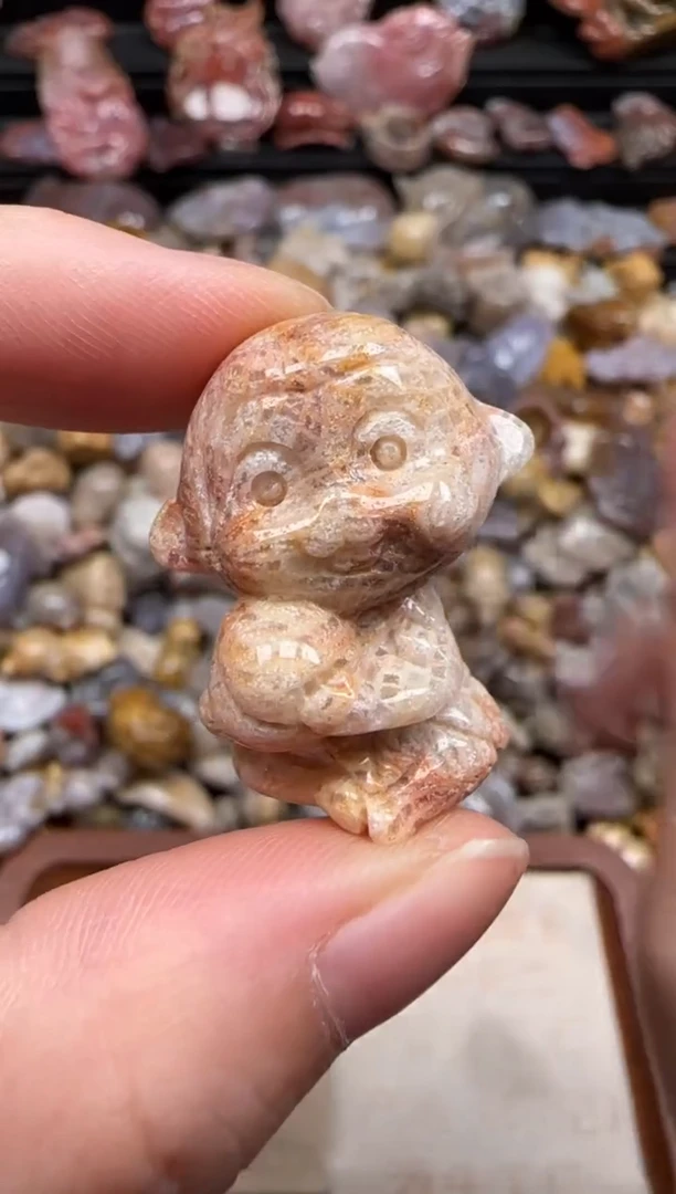 【闪购商品】硅化珊瑚(珊瑚玉)颈饰未镶嵌141