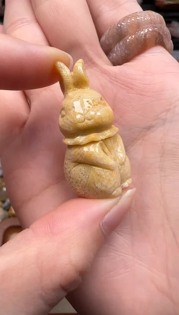 【闪购商品】硅化珊瑚（珊瑚玉）颈饰未镶嵌711