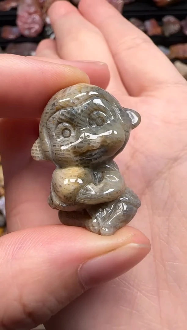 【闪购商品】硅化珊瑚(珊瑚玉)颈饰未镶嵌385