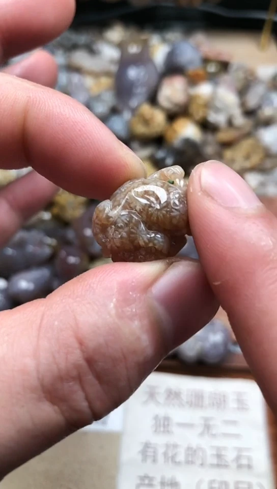 【闪购商品】硅化珊瑚（珊瑚玉）颈饰未镶嵌925