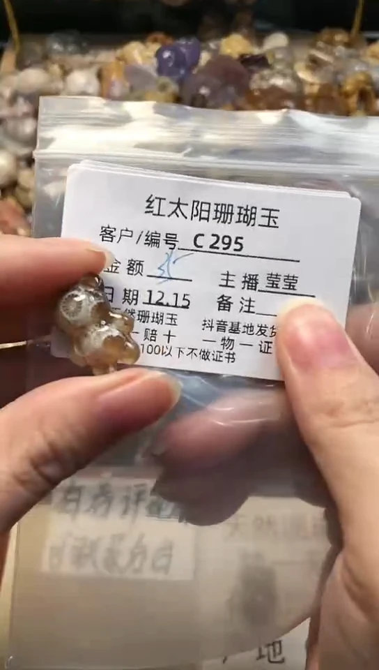 【闪购商品】硅化珊瑚（珊瑚玉）颈饰未镶嵌295
