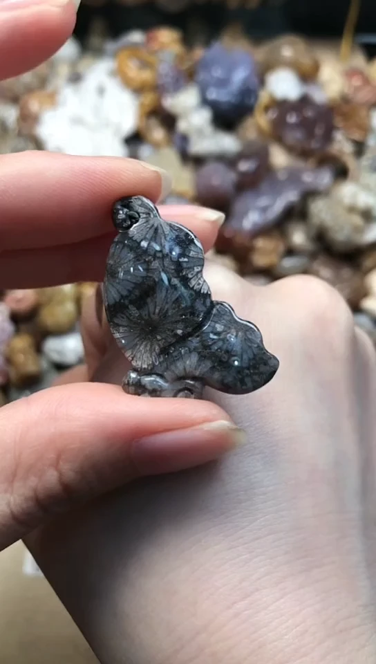【闪购商品】硅化珊瑚（珊瑚玉）颈饰未镶嵌041