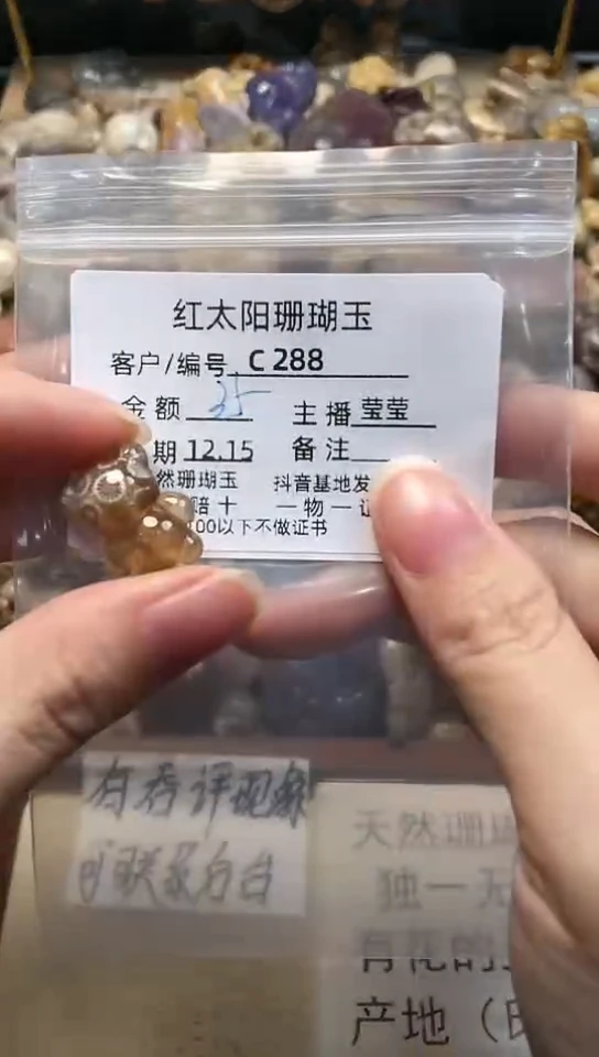【闪购商品】硅化珊瑚(珊瑚玉)颈饰未镶嵌288