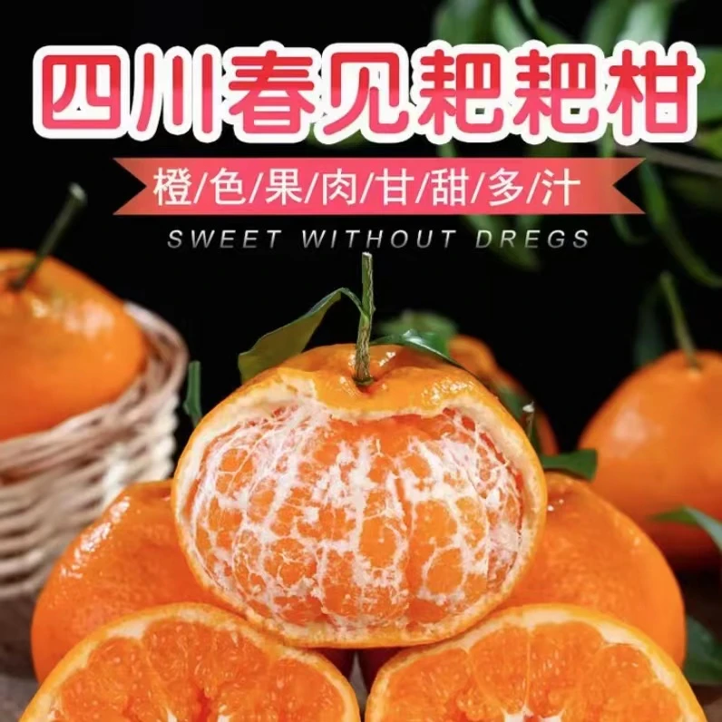 【供销社出品】正宗四川眉山春见耙耙柑新鲜水果自然熟爆汁化渣