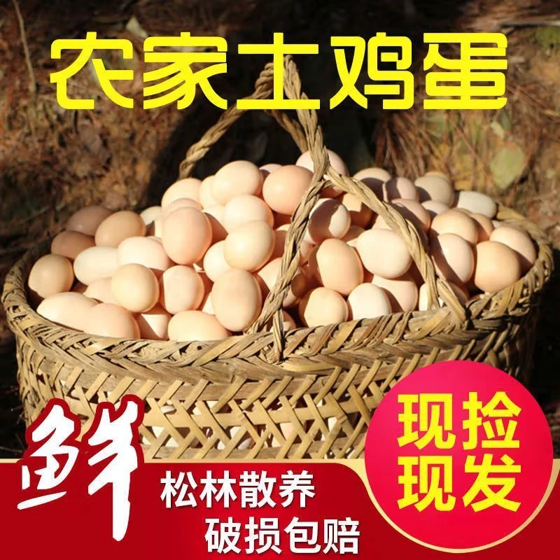 土鸡蛋新鲜农家自养五谷粮食喂养新鲜土鸡蛋大个柴鸡蛋营养饱满