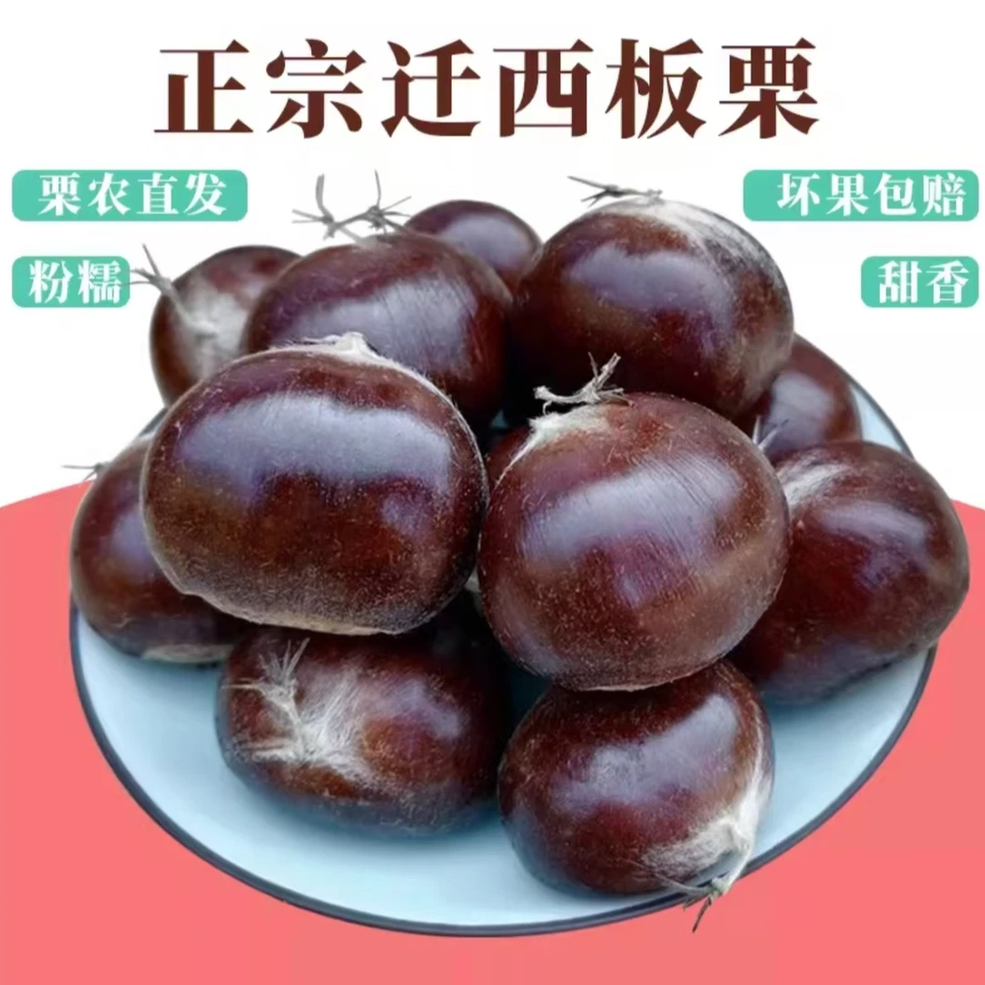 【软糯大果】正宗迁西油栗子香甜软糯好剥皮送礼燕山板栗一斤约65粒
